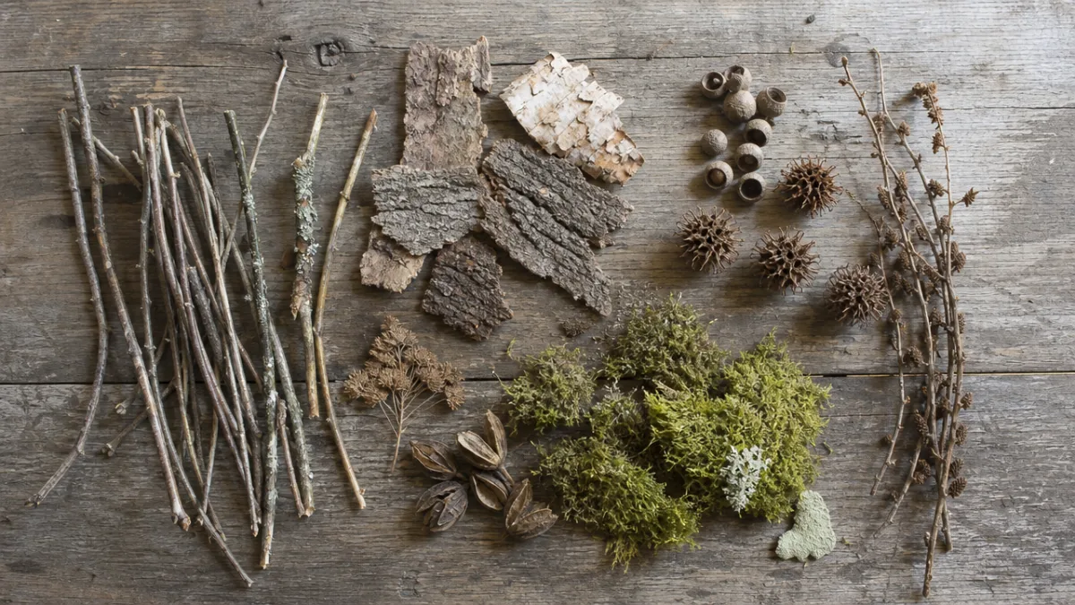 a flat lay of gathered twigs, bark pieces, seed pods, and moss…