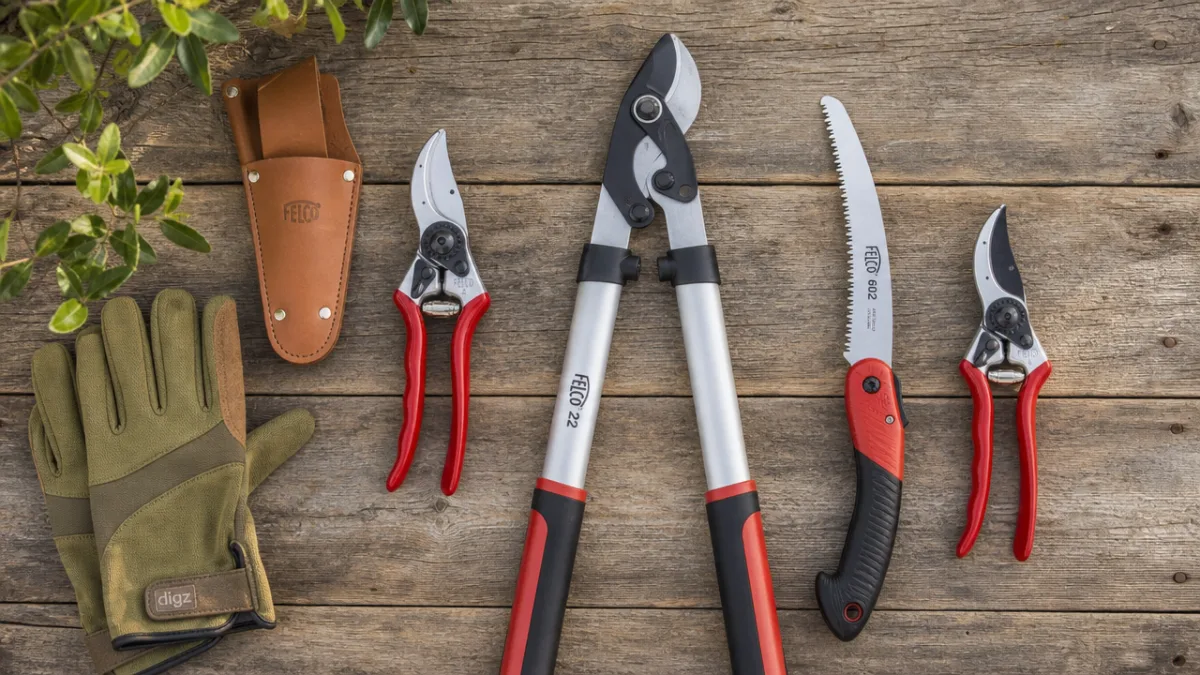 an organized flat lay of pruning tools on a rustic wooden surface,…