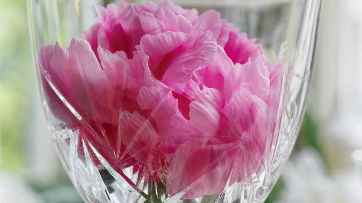 close-up macro photograph of pink peony petals inside crystal glass, soft bokeh…