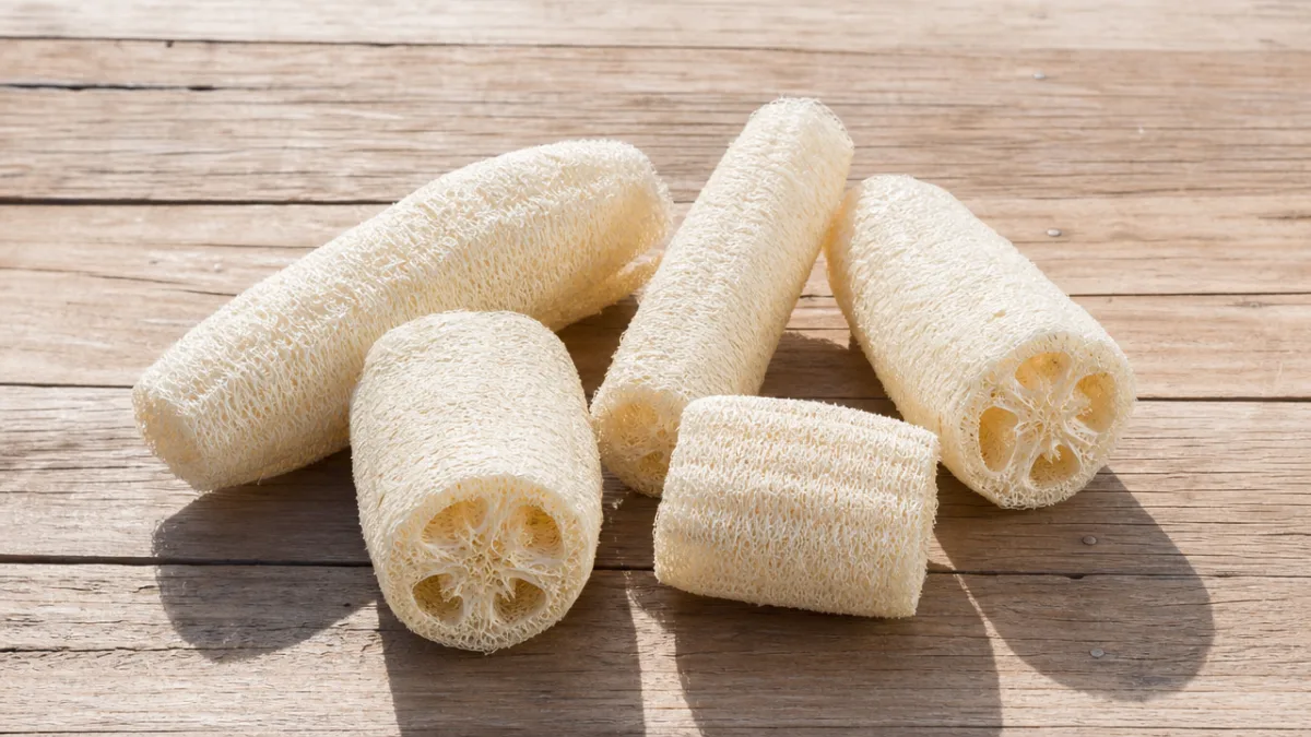freshly processed natural luffa sponges drying on a wooden surface in bright…