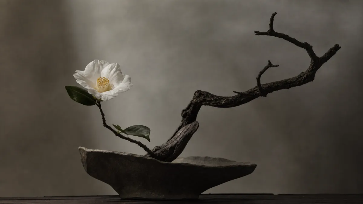 a dramatic close-up of a sparse ikebana sculpture with a single white…