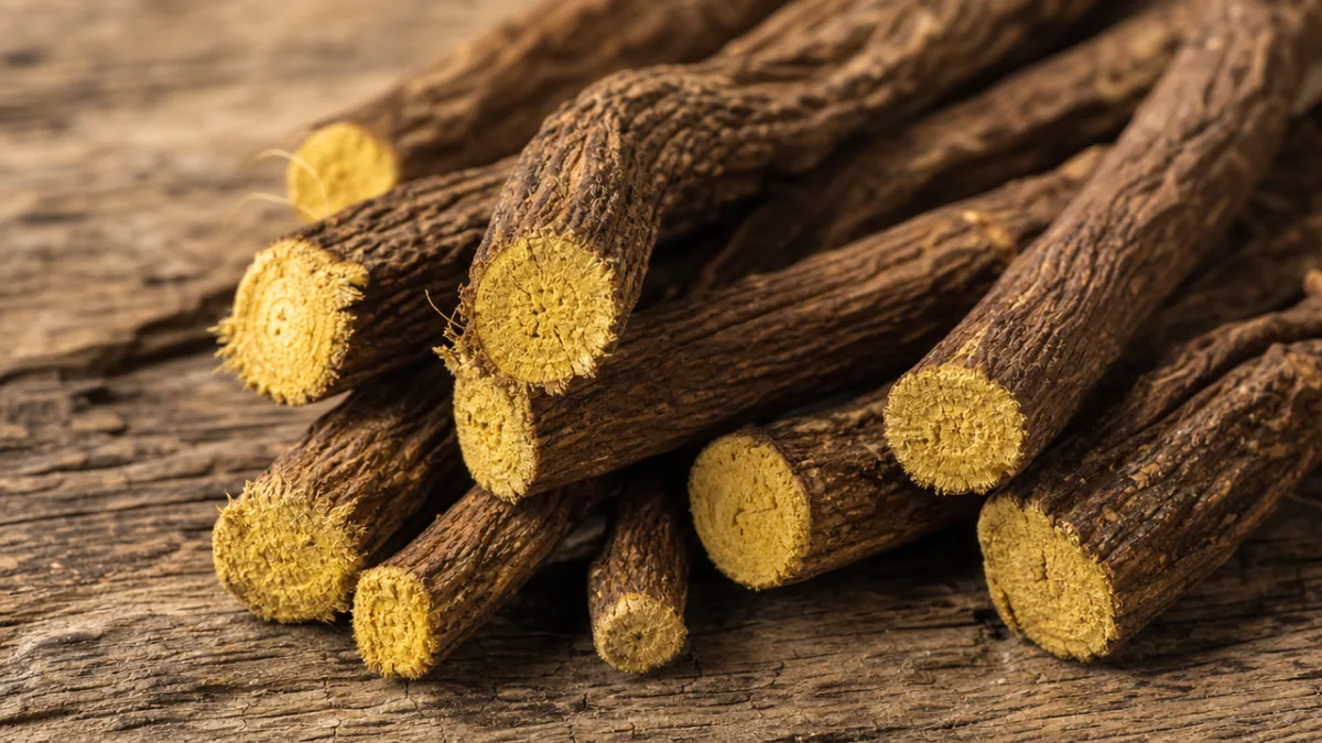 a close-up of dried licorice roots with yellow interior cross-sections on a…